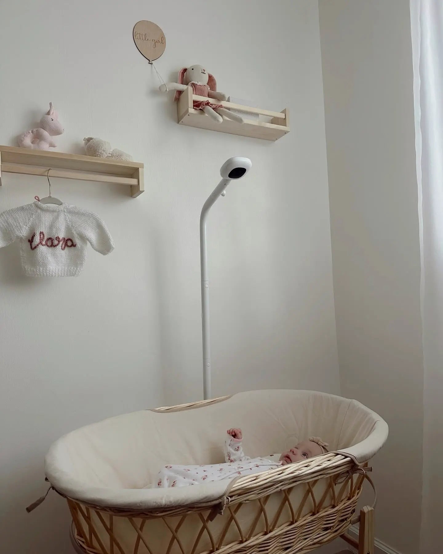 babymonitornanit.com